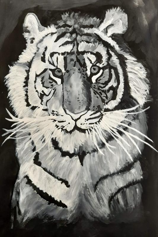 Tiger, by Alleia Kragt Bakker