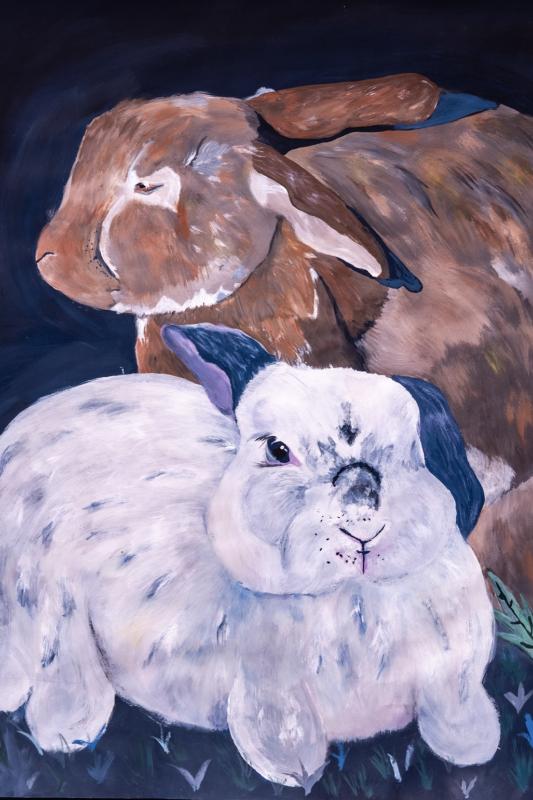 Rabbits by Alleia Kragt Bakker